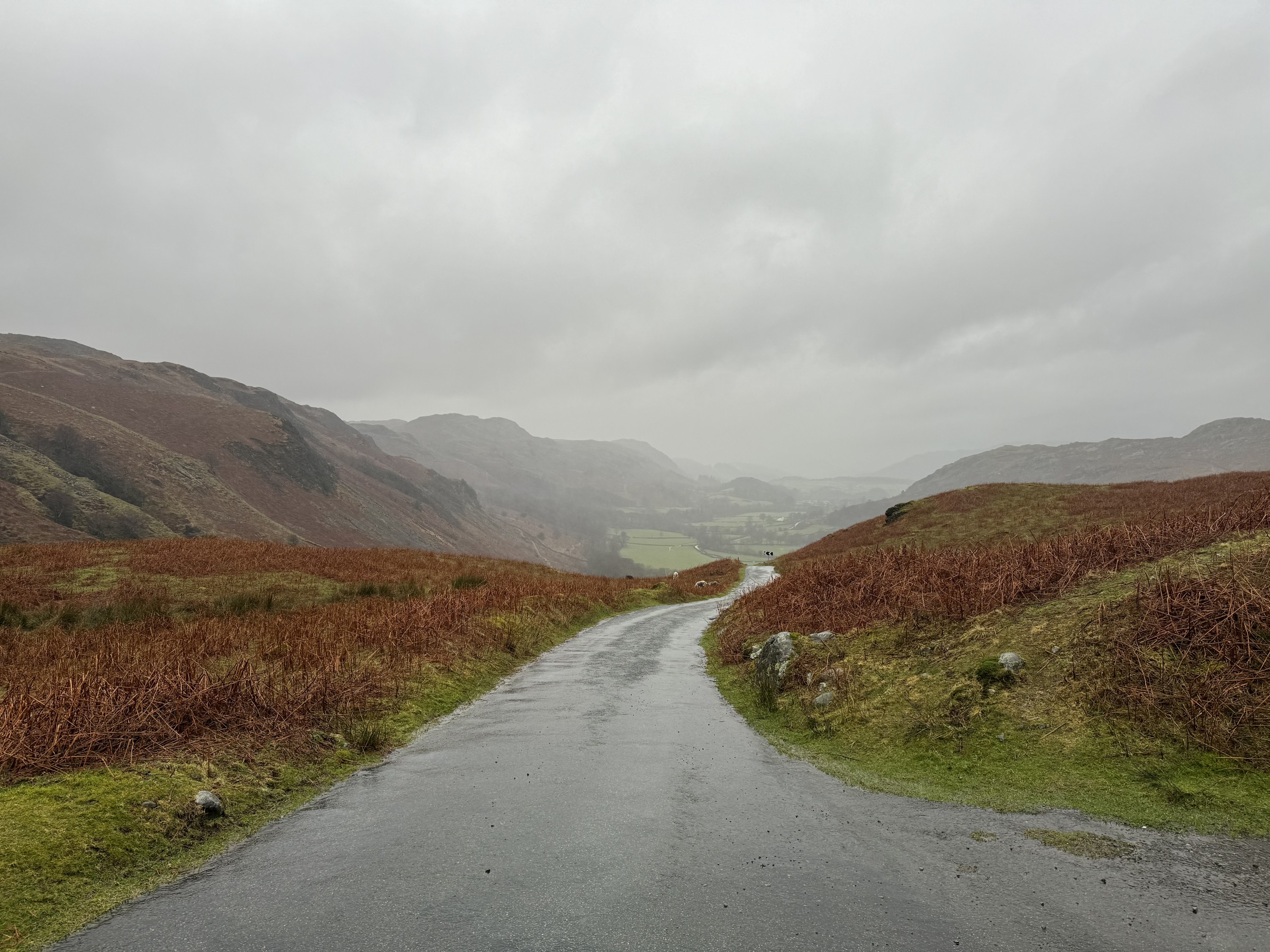 A wet country road winding through misty hills