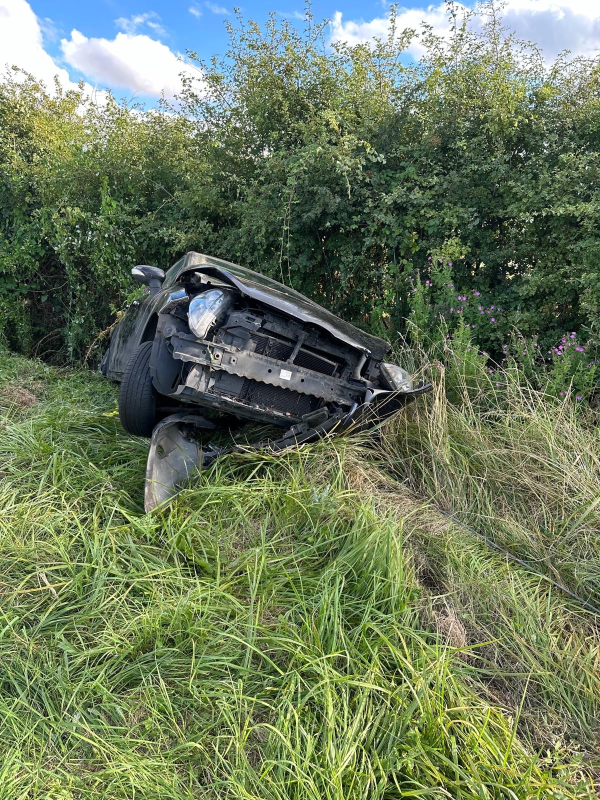 Damaged black car resting in long grass beside a hedge